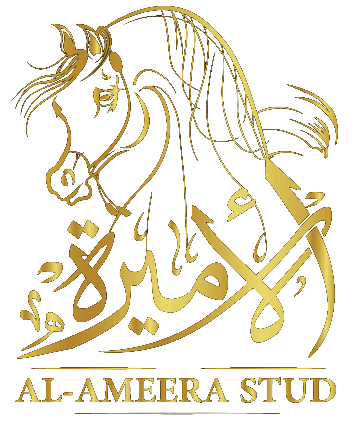 Al Ameera Stud