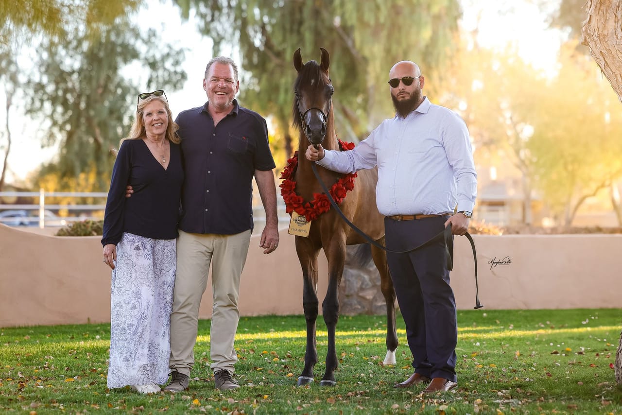 SVB Calais SVB Calais