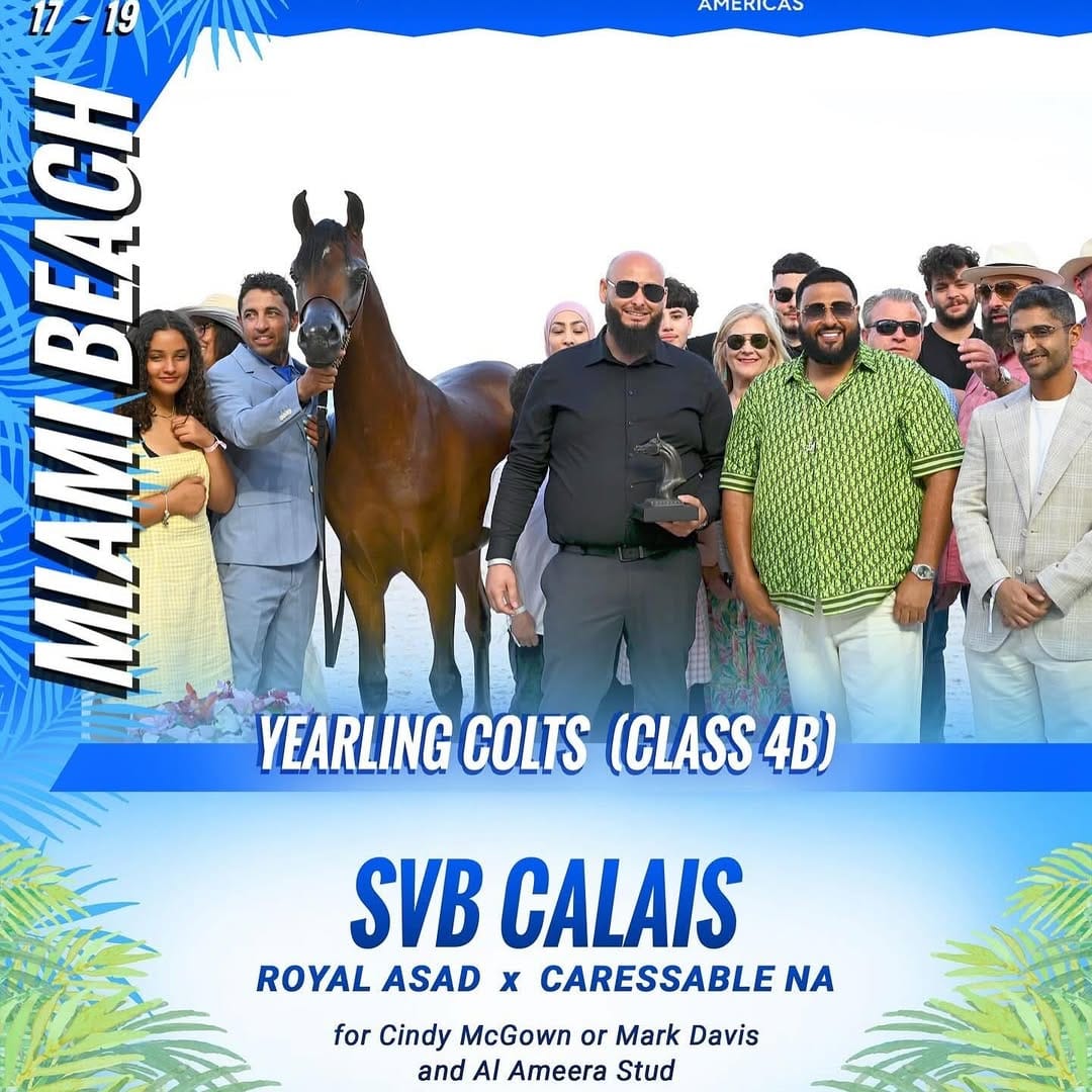 SVB Calais SVB Calais