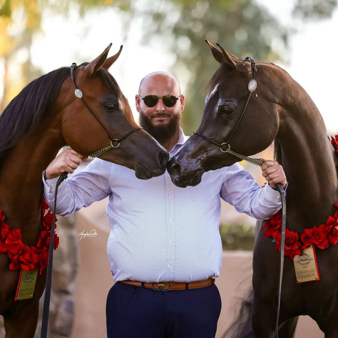 Nour Alzubaidi Nour Alzubaidi